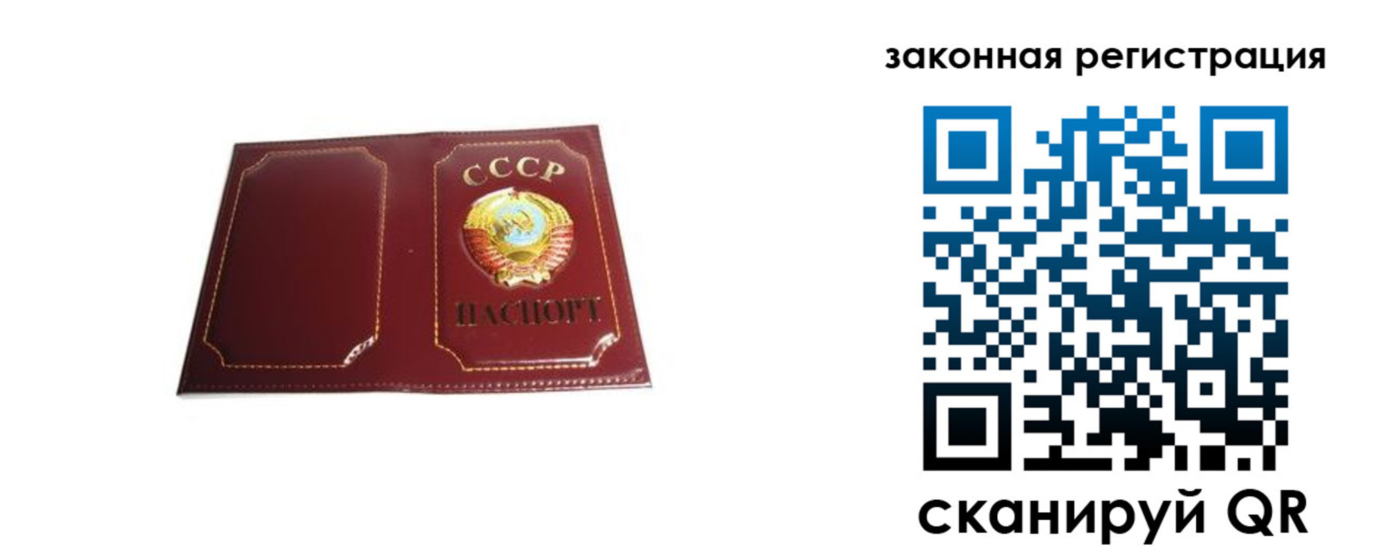 прописка поиск в Завитинске